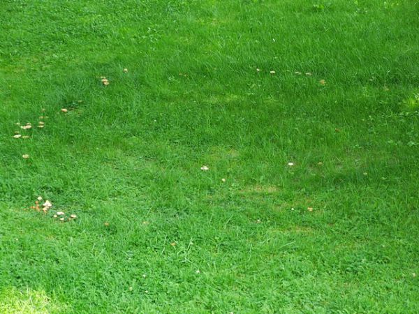 Kunstrasenfeld an den HC Wacker, Ingenieurbüro Baumann