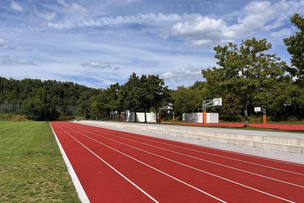 Laufbahn