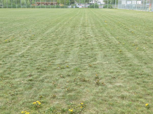 Kunstrasenfeld an den HC Wacker, Ingenieurbüro Baumann