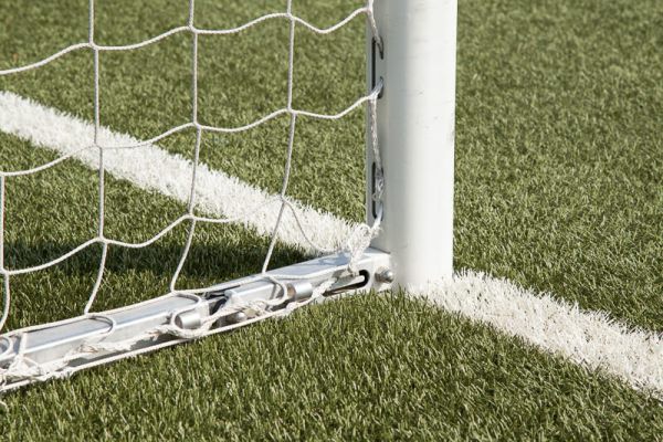 detail: grass field and goal